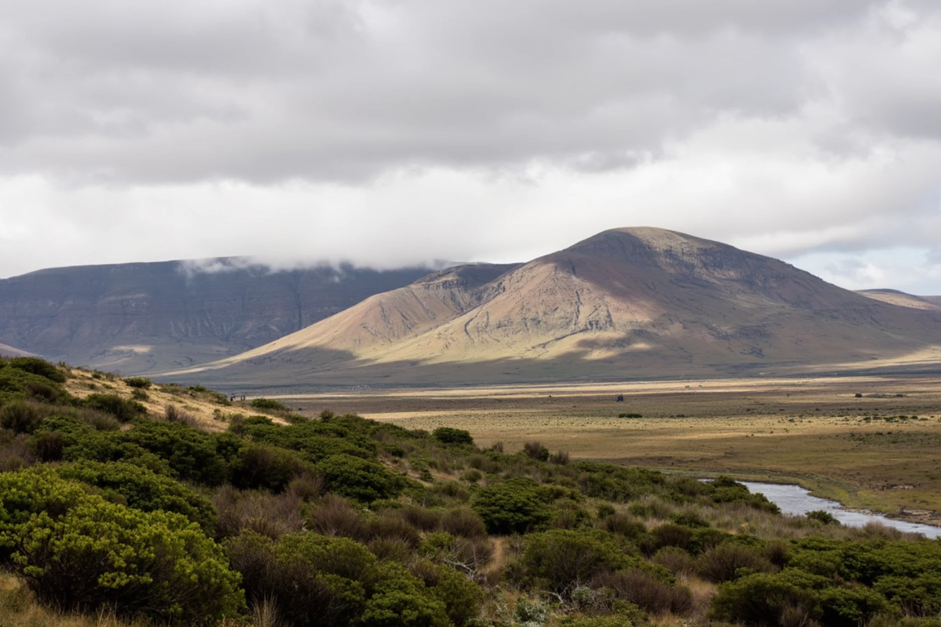 SEO & Google Marketing Solutions