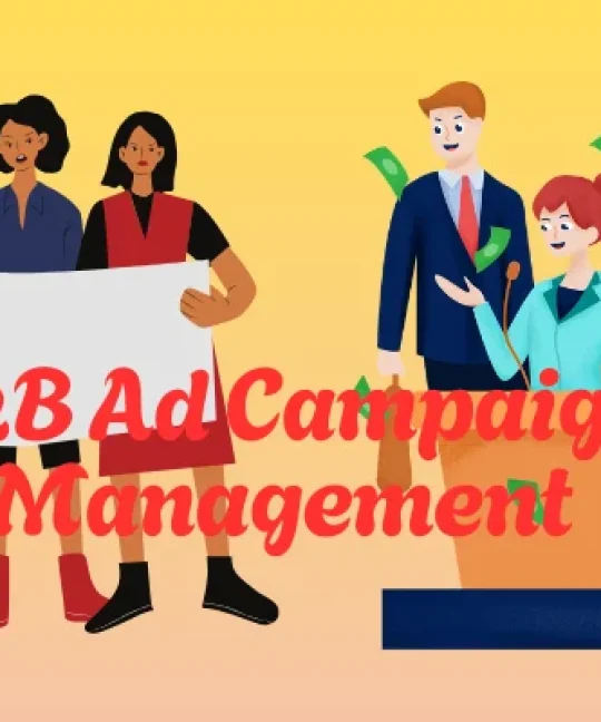 B2b Ad Campaign Management